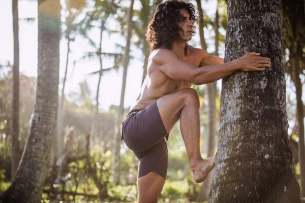 how to be a good tree climber