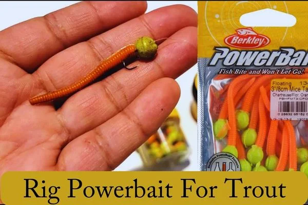 How To Rig Powerbait For Trout
