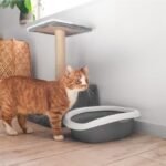 How To Neutralize Ammonia In Cat Litter?