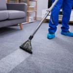 How To Clean Smelly Carpet At Home?