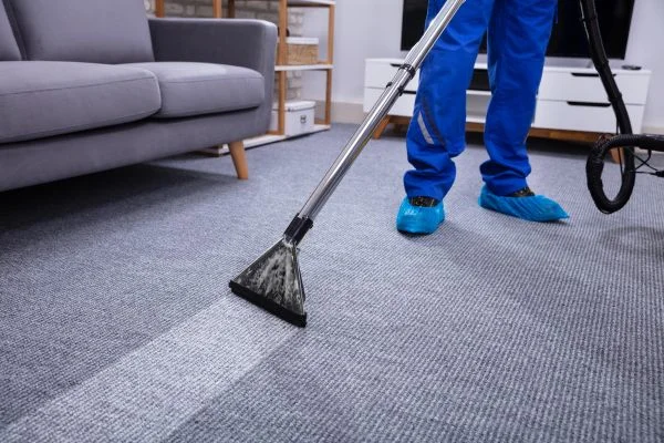 How To Clean Smelly Carpet At Home?