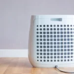 Do Indoor Air Purifiers Work