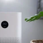 should i get air purifier for birds