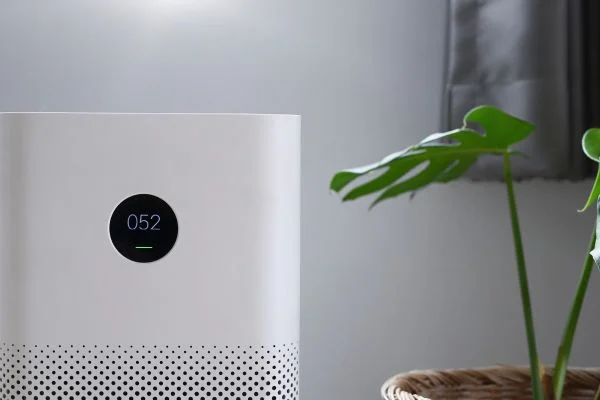 should i get air purifier for birds