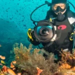 Do Underwater Fishing Cameras Work