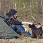 How To Go Camping With a Dog