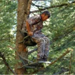 Are Climbing Tree Stands Safe