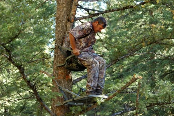 Are Climbing Tree Stands Safe