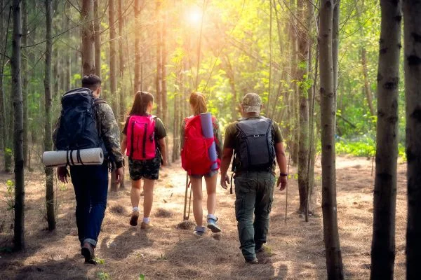 Are Hiking Shoes Good For Walking