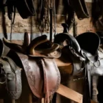 What Is A Saddle Hunter?