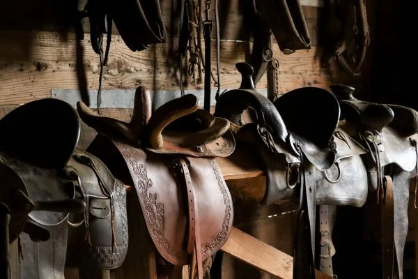 What Is A Saddle Hunter?