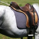 How To Use A Hunting Saddle?