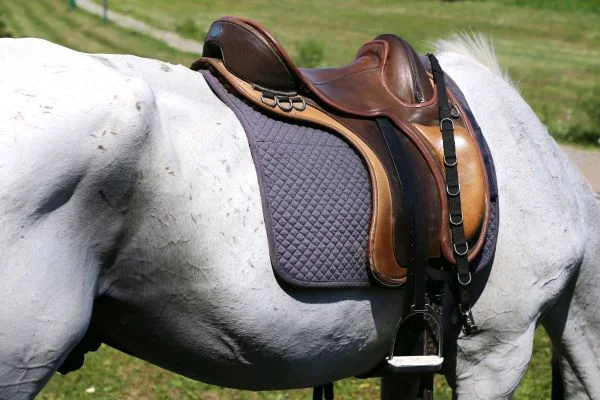How To Use A Hunting Saddle?