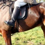 Is Saddle Hunting Comfortable