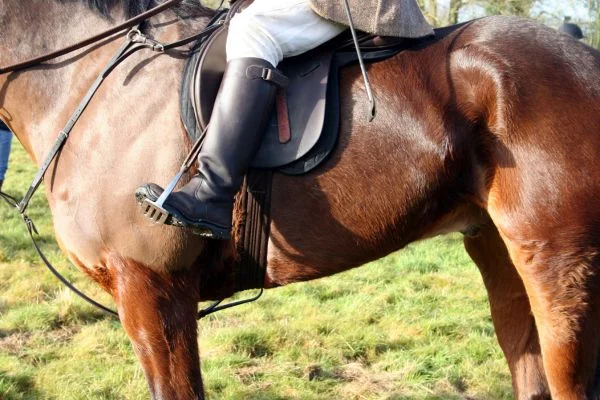 Is Saddle Hunting Comfortable