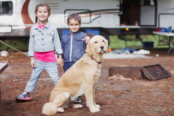 Camping-with-a-furry-friend