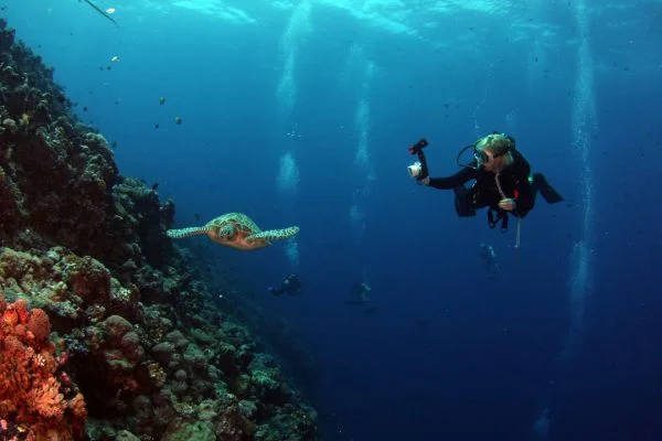 Can I Use a GoPro as an Underwater Fishing Camera