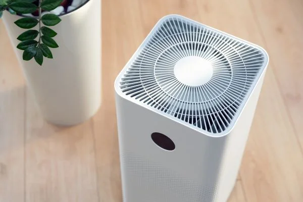 Are Air Purifiers With Ionizers Safe For Birds?