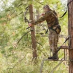 How High Should a Tree Stand Be For Bow Hunting