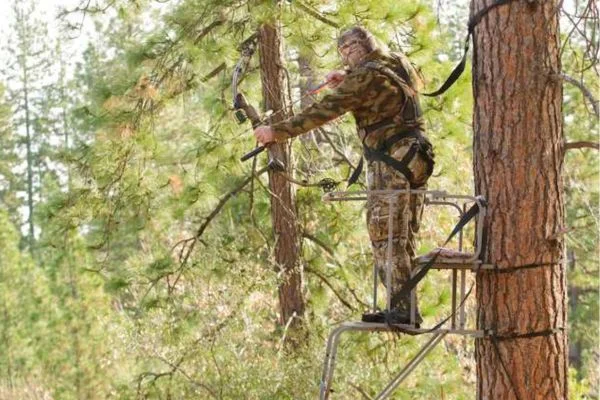 How High Should a Tree Stand Be For Bow Hunting