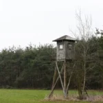 How To Build a Box Stand For Bow Hunting