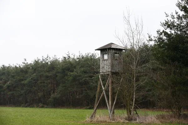 How To Build a Box Stand For Bow Hunting