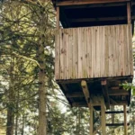 How To Build a Deer Stand For Bow Hunting