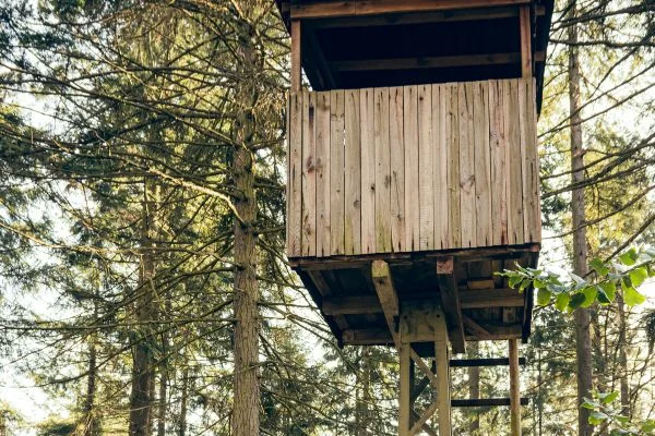 How To Build a Deer Stand For Bow Hunting