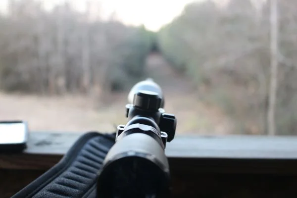 How To Climb A Tree For Saddle Hunting