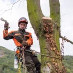 How To Climb a Tree With a Harness