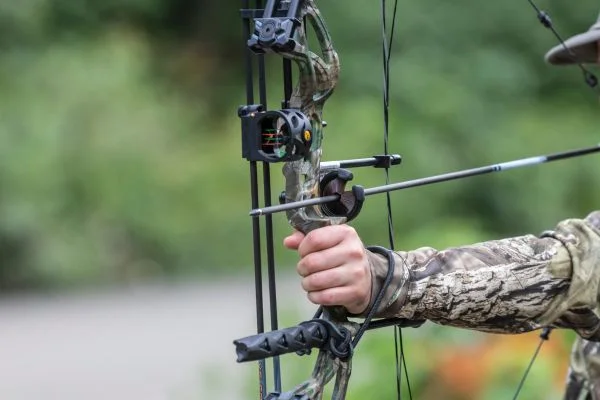 How To Start Bow Hunting