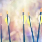 How To Start Bow Hunting