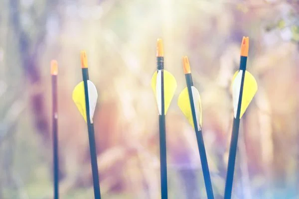 How To Start Bow Hunting