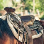 How To Use A Saddle For Hunting