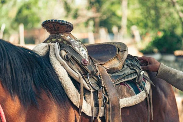 How To Use A Saddle For Hunting
