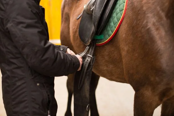 How To Use A Saddle For Hunting