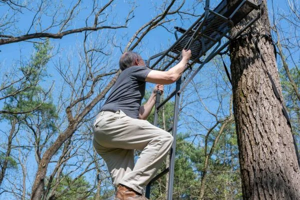 What Does Ladder Stand For Climbing