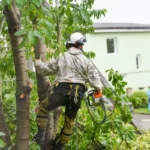 how to cut wood without a saw
