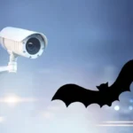 Are Bats Attracted To Night Vision Security Camera