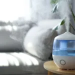 Can A Diffuser Be Used As A Humidifier