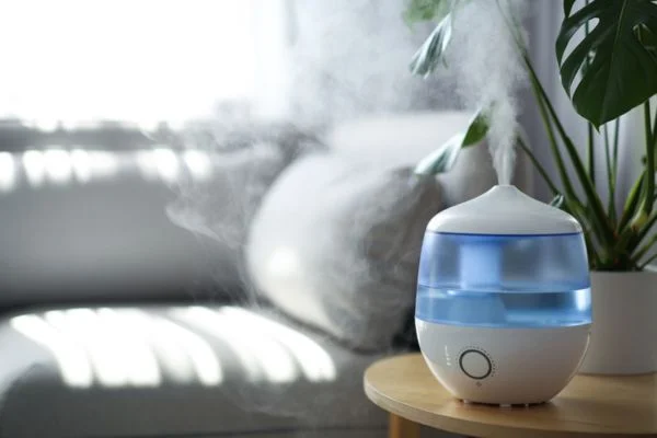 Can A Diffuser Be Used As A Humidifier