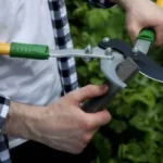 Do You Need To Oil A Pruning Saw