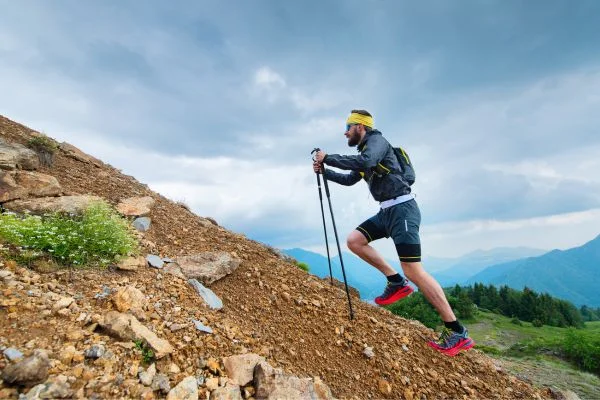 How To Carry Climbing Sticks Up The Tree