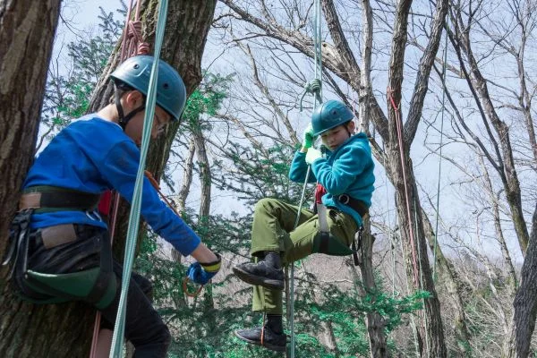 How To Climb a Tree Without Spikes