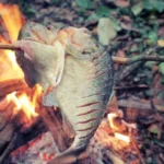 How to clean and cook fish while camping