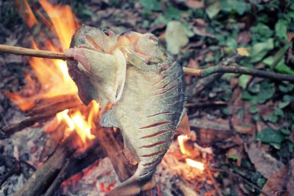 How to clean and cook fish while camping