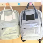 What Are Small Backpacks Called