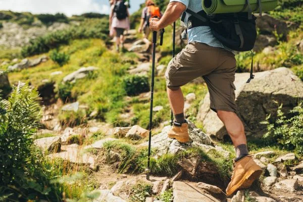 What Are The Different Types Of Hiking