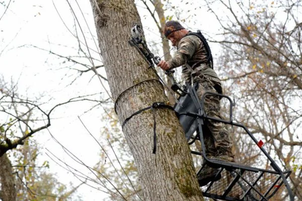 What Is a Climbing Tree Stand
