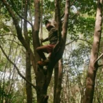 Which Method Is Recommended For Climbing a Tree (1)